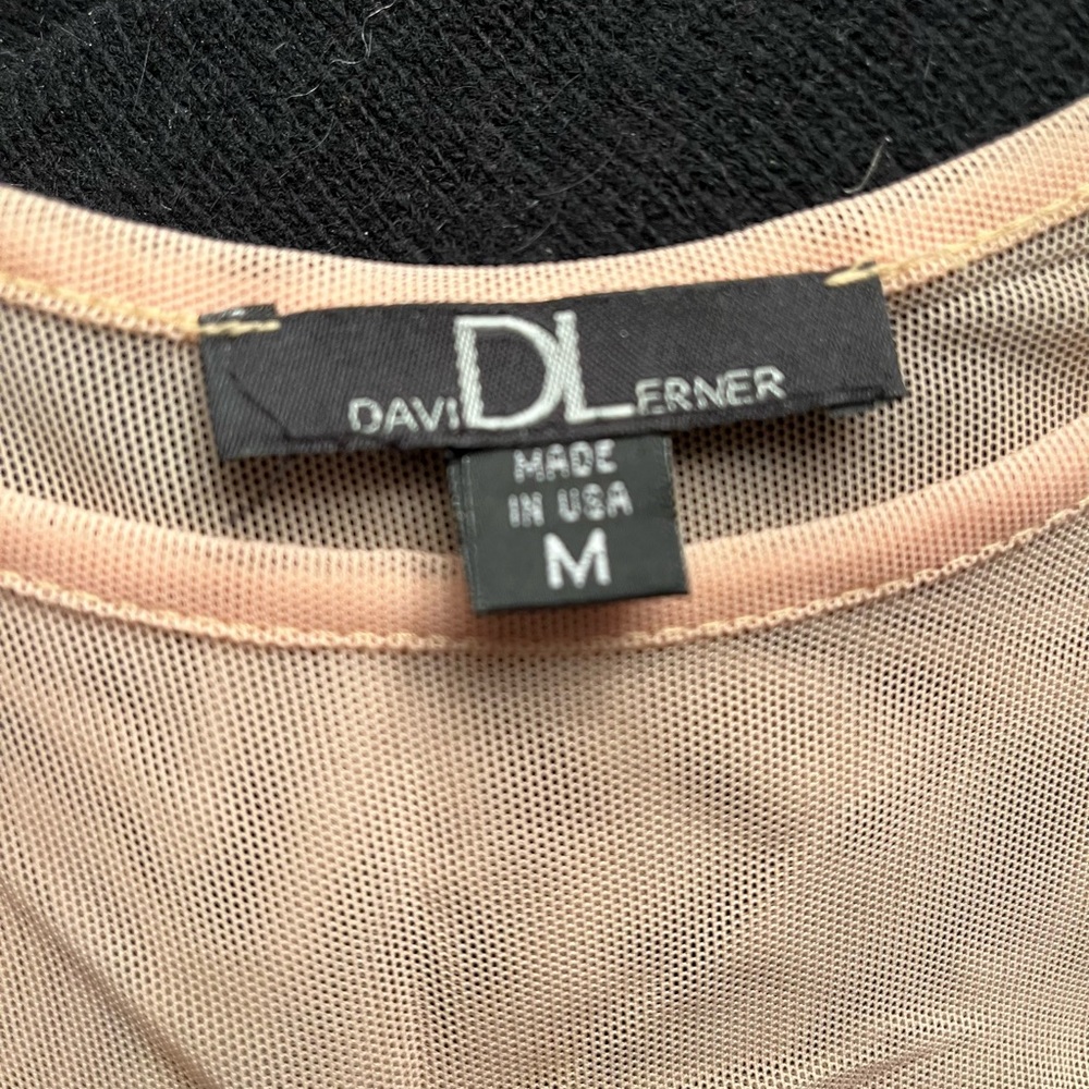 David Lerner - image 2